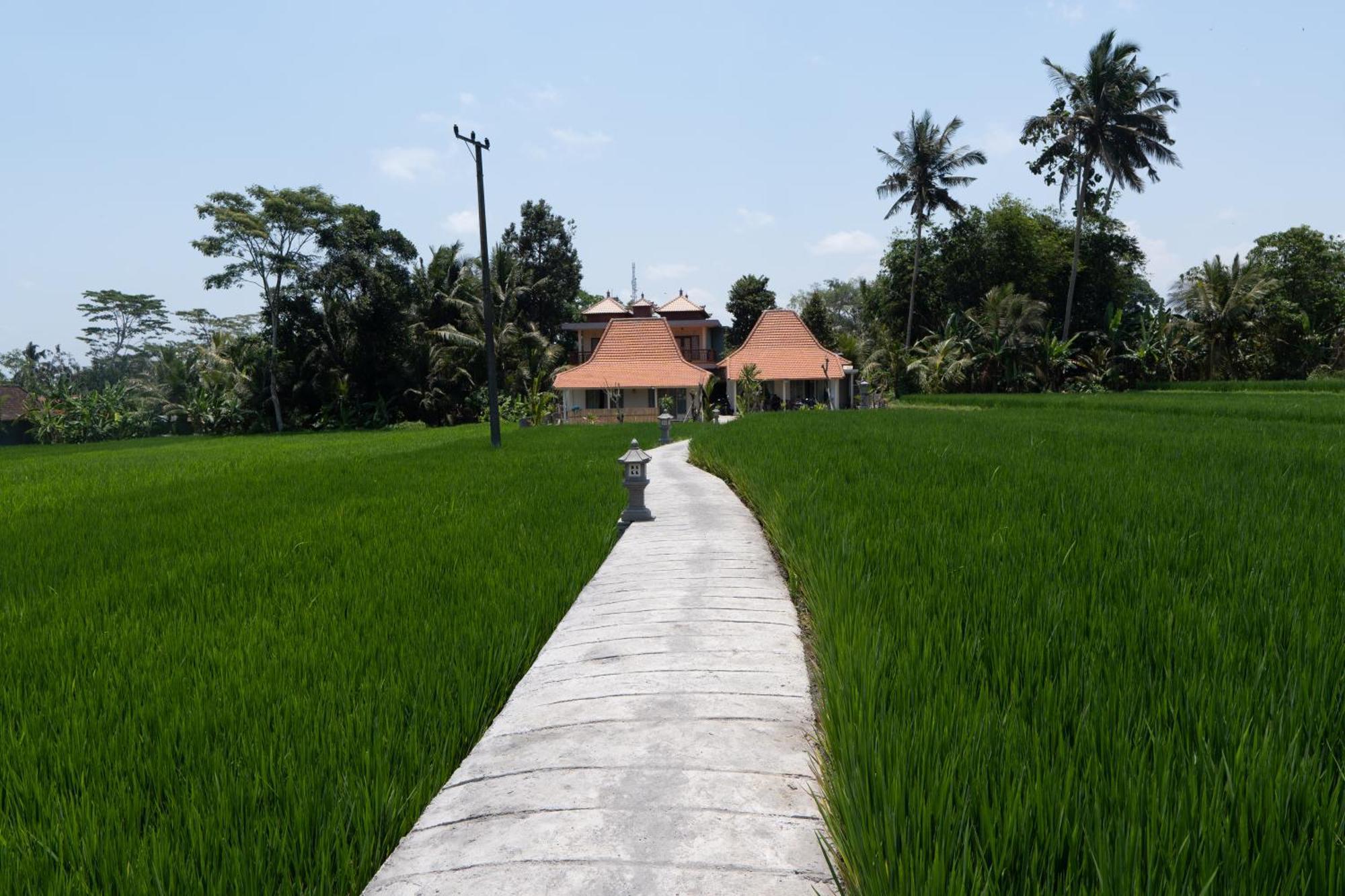 Uma Sri Dewi Villa Ubud Kültér fotó