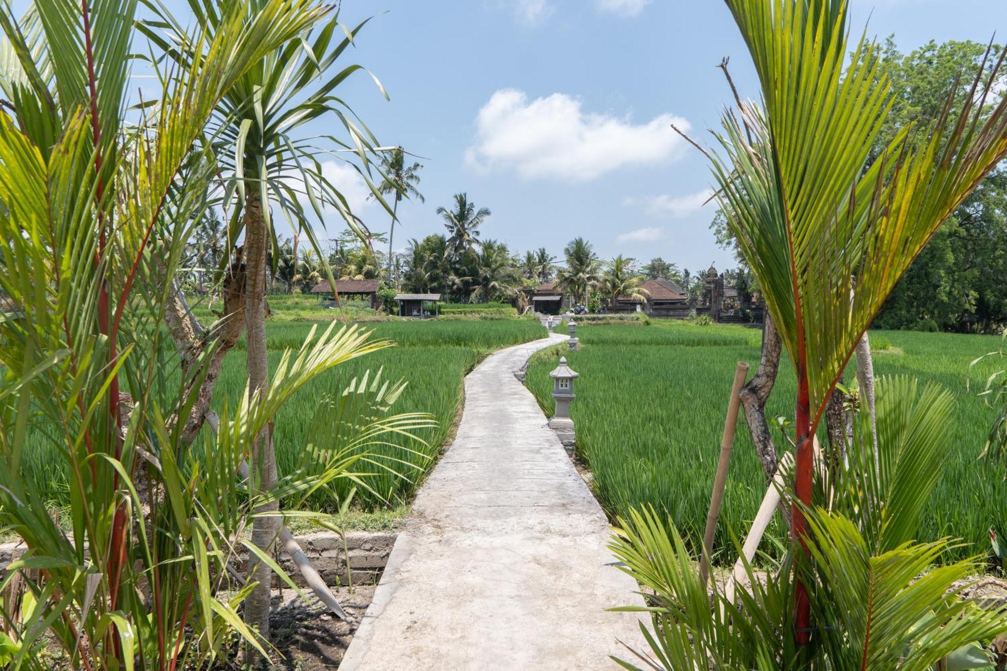 Uma Sri Dewi Villa Ubud Kültér fotó